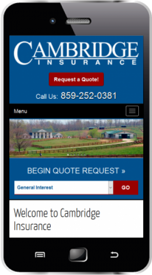 Responsive for Mobile Phones